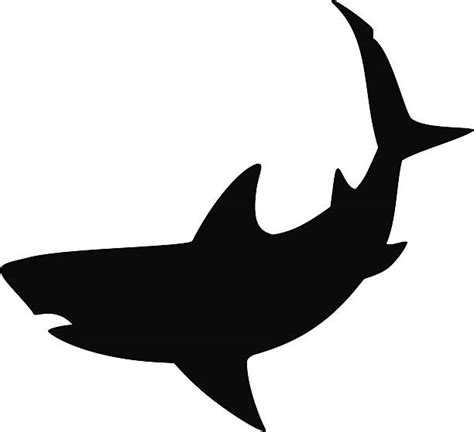 24700 Shark Vector Stock Illustrations Royalty Free Vector Graphics