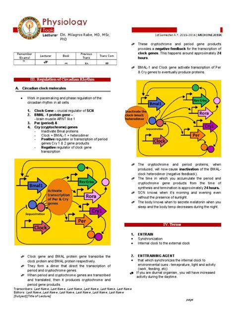 Step one of resetting your sleep clock starts with getting up bright and early,. Regulation of Circadian Rhythm and Terms | Circadian ...