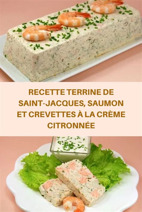 35 min terrine de saumon frais, st jacques et pistaches facile la. Terrine de Saint-Jacques, saumon et crevettes à la crème ...