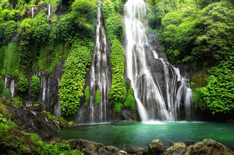 Worlds Most Beautiful Rainforests Topic News
