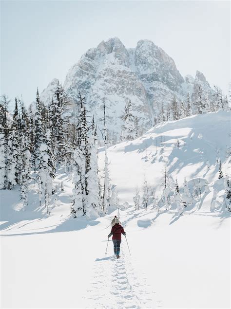 Snowshoeing At Marvel Pass In The Canadian Rockies In Alberta Canadian