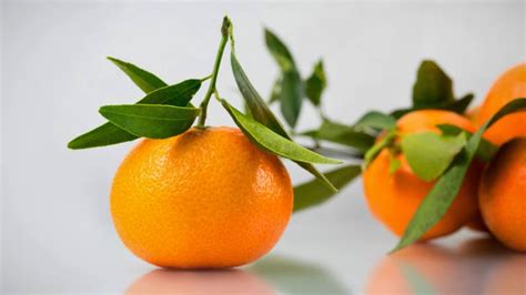 20 Tangerine Mandrin Orange Citrus Reticulata Fruit Tree Seeds Etsy
