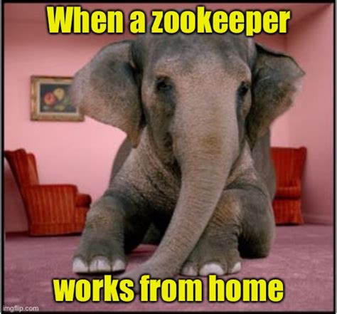 Zookeepers Memes