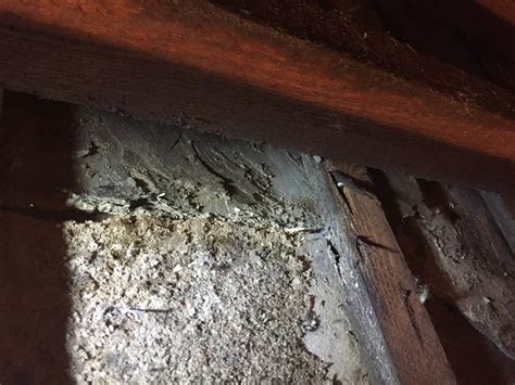 safety - Asbestos risk in my roof? What is this material? - Home ...