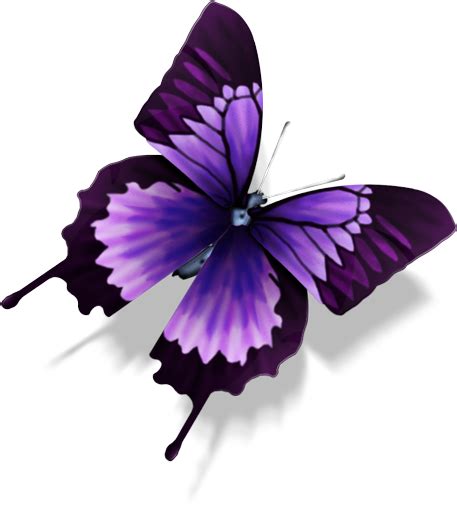 Purple Butterfly | Purple butterfly tattoo, Purple ...