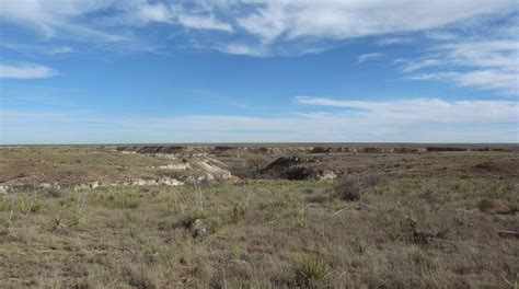 Western Shortgrass Prairie One Earth