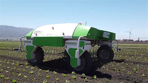 Agricultural Weeding Robots Reduce Costs Benefits Workers And Protects