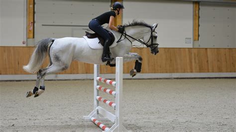Show Jumping With Horses Challenging And Fun