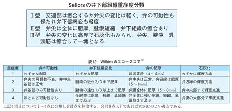 クラスⅰ 1 ptmc 適応患者に対する心房内血栓検索や僧帽弁 逆流の重症度判定 2 心房細動に対する除細動が必要でありかつ抗凝固 療法が十分でな. 僧帽弁狭窄症｜東邦大学医療センター大橋病院 心臓血管外科