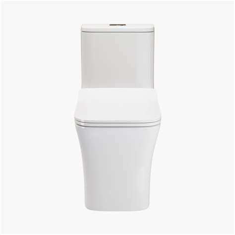 HOROW Best Water Efficient Toilet Elongated One Piece Toilet