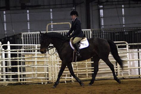 Hard Work Paying Off for Up-and-Coming Trainer Lindsay Schultz at