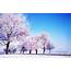 Winter Pictures Backgrounds ·� WallpaperTag