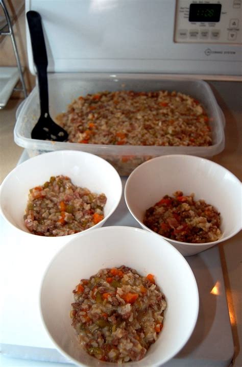 4.5l of liquid (1/2 broth and 1/2 water) instructions: 8 Awesome Easy-To-Make Homemade Dog Food Recipes Your Dog ...