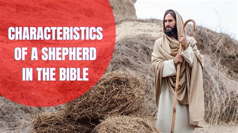12 Characteristics Of A Shepherd In The Bible Detailed