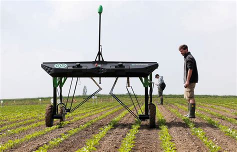 Robot Weed Killers Poised To Disrupt Us Agriculture Local Business