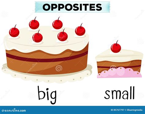 Opposite Big And Small Vector Illustration 144356678