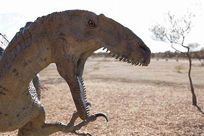 Dinosaur Outback Queensland Things Vacations Dig Famous