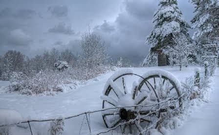 Free Beautiful Photos collection: Beautiful Winter Season Photos,Winter ...