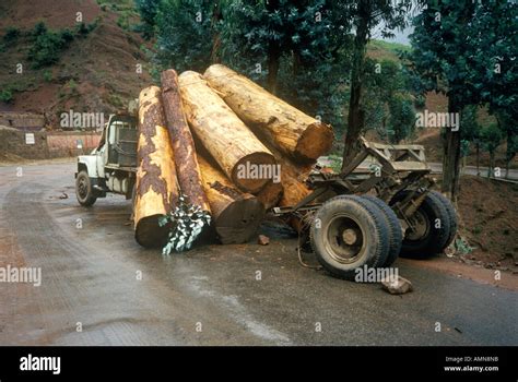 Logging Truck Accidental Log Spill Kunming Yunnan Province People S