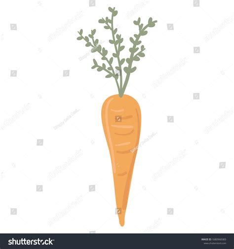 Illustrated Carrot Isolated Vector Graphic Stock Vector Royalty Free Shutterstock