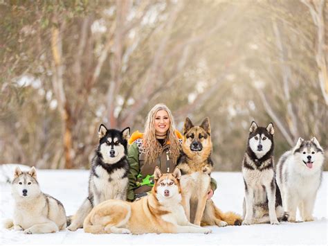 Snow Dogs Photography And Retreats Event High Country Victoria