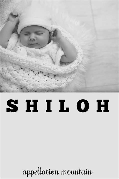 Shiloh Baby Name Of The Day Appellation Mountain