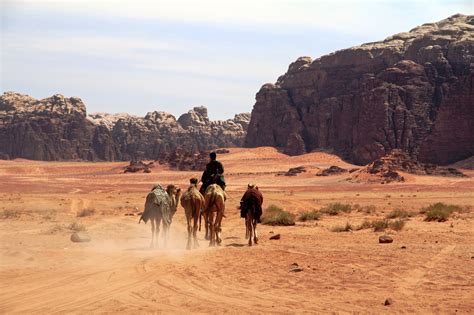 Jordan A Desert To Desert View Of The Extraordinary Life Of Te