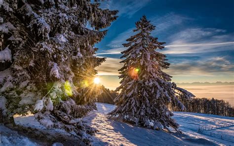Grenchenberg Switzerland Forest Winter Snow Sunset Wallpaper