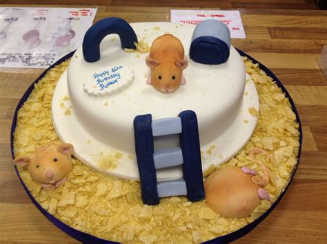 Hamster Cake Made By Us Cupcakes Cupcake Cakes Just Desserts Dessert