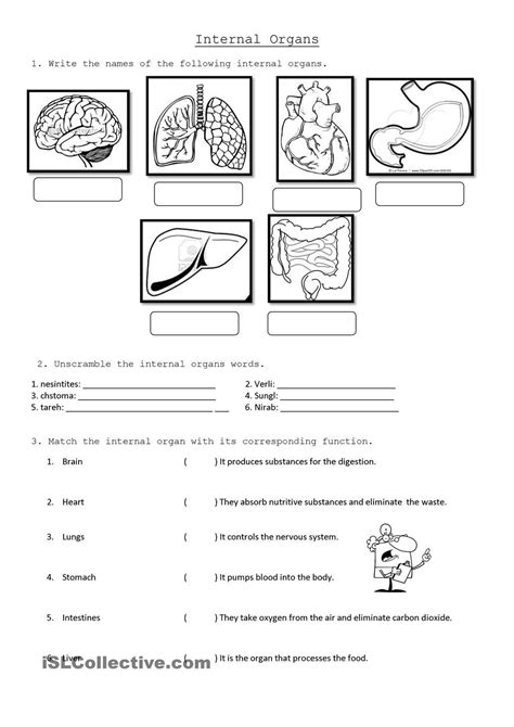 Grade 5 Science Worksheet
