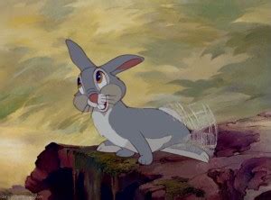 Nearly everybody gets twitterpated in the thumper: Thumper The Rabbit Quotes. QuotesGram