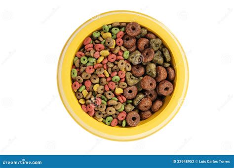 Two Dog Foods Stock Photo Image Of Treats Animal Bowl 32948952