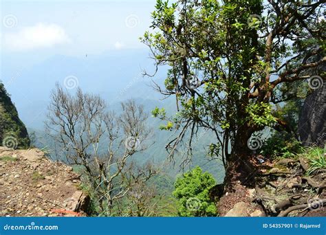 Landscape Forest Deep Mountain View Stock Image Image Of Single