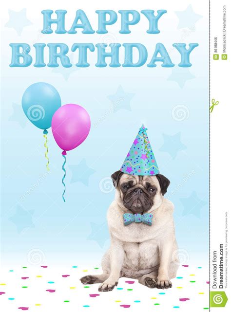 Check spelling or type a new query. Cute Grumpy Faced Pug Puppy Dog With Party Hat, Balloons ...