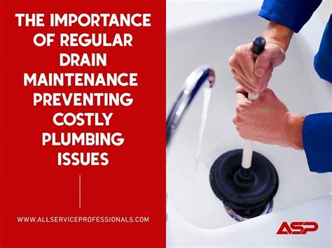 Importance Of Drain Maintenance Prevent Costly Plumbing Issues