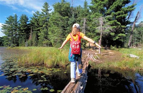 The best cabins for rent, algonquin park has are here. Algonquin Park Log Cabin - De Canada Specialist