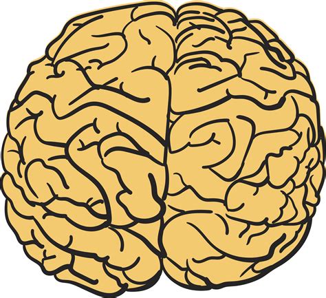 Free Brain Clipart Transparent Download Free Brain Clipart Transparent