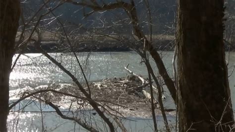 Part Of The Kentucky Riverbank Eroding Quickly Leaves Homeowner Concerned