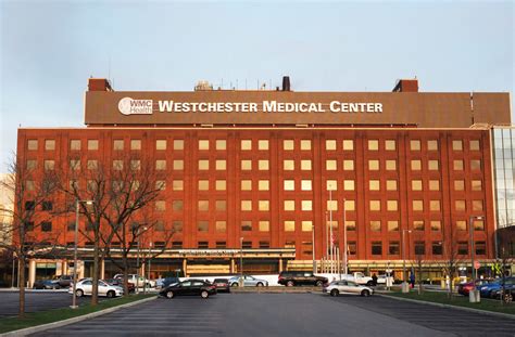 War Zone Nurses Sue Westchester Medical Center Montefiore And State