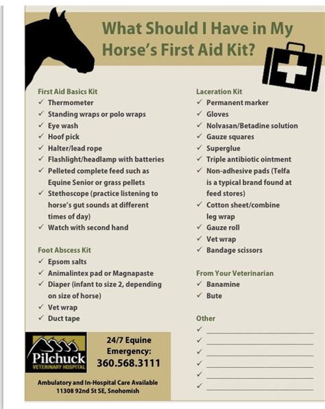 Horse First Aid Kit List Tonyballman