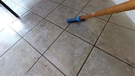 Cleaning Ceramic Tile Floors With Ammonia Floor Roma