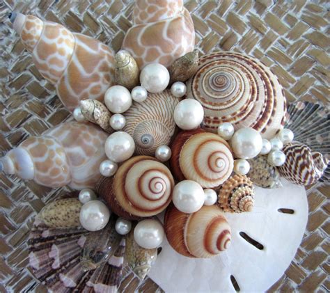 Sea Shell Deco Seashell Projects Shell Decorations Sea Shells