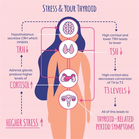 How Stress Affects Your Menstrual Cycle Nicole Jardim