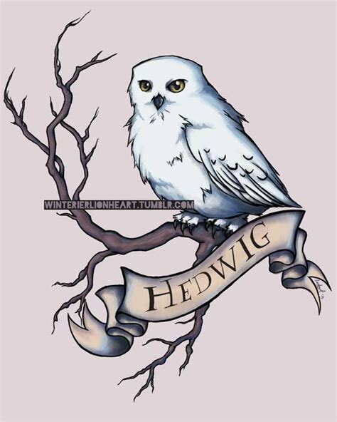 This is a list of characters in the harry potter series. Harry Potter Hedwig Drawing at GetDrawings | Free download