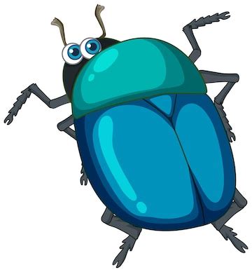 Beetle clip art Clipart for Free Download | FreeImages - Clip Art Library