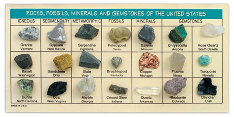 Earth Sciencegeology Rocks Fossils Minerals And Gems