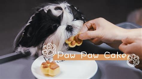 Four paws (stylized four paws) is a global animal welfare organisation based in vienna, austria. Baking for Pet 🐾 Paw Paw Cakes 🐾Easy Pet Treat Recipe 🐾DIY ...