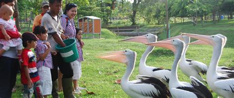 √ Ecopark Ancol: Wahana, Jam Buka, Harga Tiket Masuk 2022