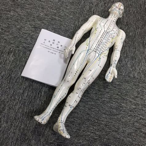 26cm Chinese Male Body Model For Acupuncture Meridian And Extraordinary