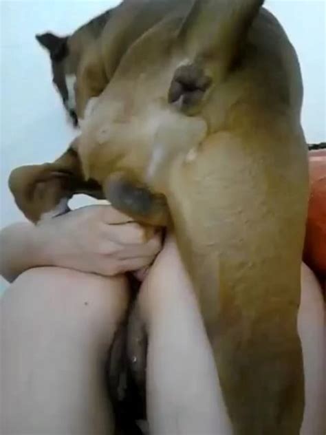 Dog Asshole Twitches When It Orgasms After Fucking A Zoo Tube 1